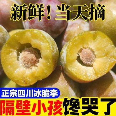 四川正宗脱骨李子青脆李空心半边红茵红李子孕妇新鲜水果当季整箱