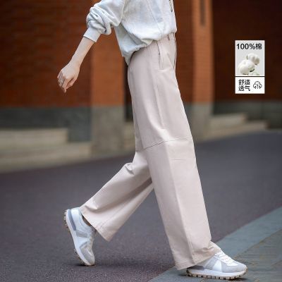 ���ڲ����������ɡ�100%�ޡ��＾�Ǹм�Լ���������ʲ���С����Ůʽ���п� 249Ԫ