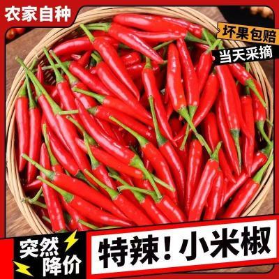 巨辣特辣现摘小米辣鲜椒蔬菜泡椒新鲜红辣椒魔鬼辣椒朝天椒批发