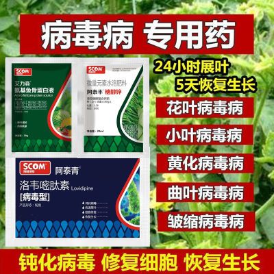 花叶病毒病专用套餐农药西红柿辣椒黄瓜蔬菜果树小叶黄叶营养液