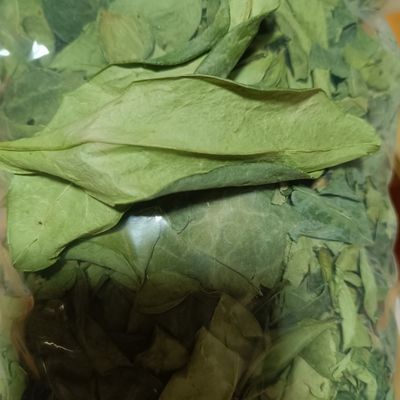 龙利叶2025新晒干货煲汤煮水清香品质好实物如图