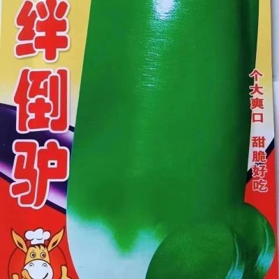 绊倒驴青萝卜东北大青萝卜秋季大绿萝卜新鲜蔬菜甜汁脆高产包邮