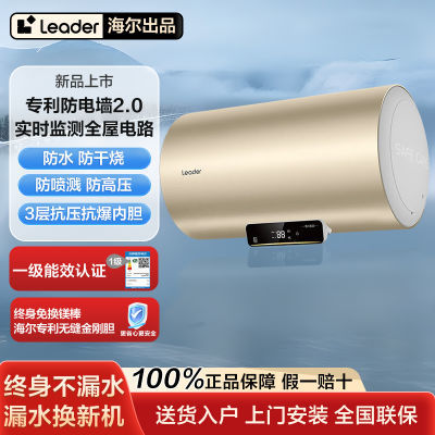 ڲ60Lˮ2200wһЧ˫ȹ־Leader618Ԫ