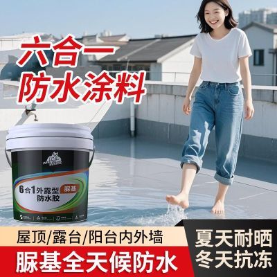 ڲ61¶ݶǽ©ˮϷ©¥·ͿרҵˮͿ30.2Ԫ