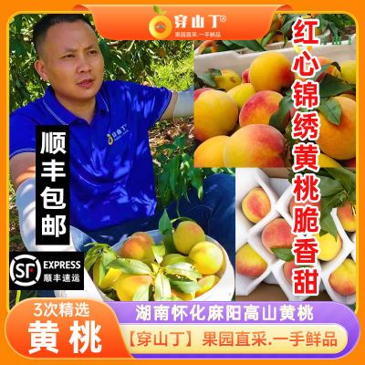 【2026年7月见】湖南怀化麻阳高山富硒锦绣黄桃__新鲜孕妇水果