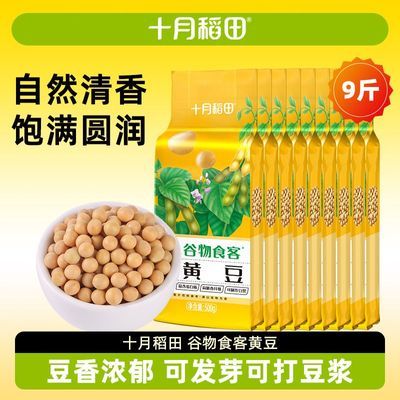 ڲʮµѡƶ500g*9򶹽ɷѿմװ52.9Ԫ