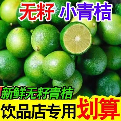 正宗无籽小青桔冷饮水果无籽薄皮小青桔新鲜奶茶店青皮批发无籽