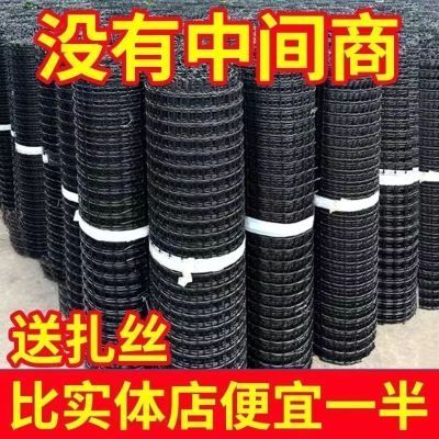 养鸡围栏网养殖网菜园防鸡鸭鹅围栏塑料网果园圈地鱼塘防护网加厚