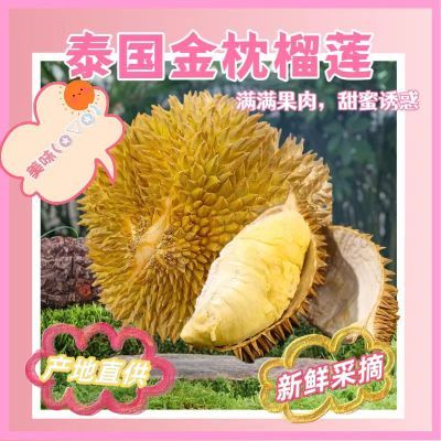 【新鲜速发】金枕榴莲泰国进口软糯香甜整个带壳鲜果饱满包邮包赔