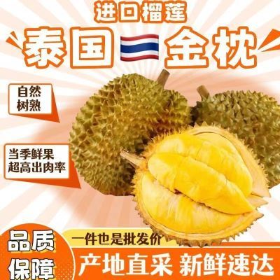【泰国金枕】精选果园进口新鲜树熟软糯榴莲整个鲜果现摘现货