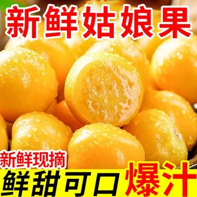 东北特产姑娘果新鲜黄灯笼果超甜爆汁品质超绝不踩雷带箱4斤薄皮优惠商品图片