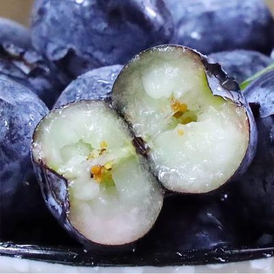 【顺丰/JD包邮】新鲜高山蓝莓鲜果现摘当季孕妇宝宝应季水果送