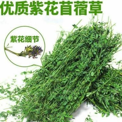 特级烘干紫花苜蓿草,兔子龙猫荷兰猪豚鼠宠物干草牧草宠物兔子草