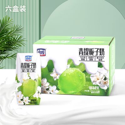 [25年5月]忠厚青提栀子牛奶整箱200ml6盒儿童牛奶营养早餐奶饮品