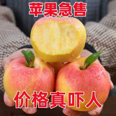 【现摘】2025新鲜苹果嘎啦果当季水果孕妇非红富士美八整箱批发