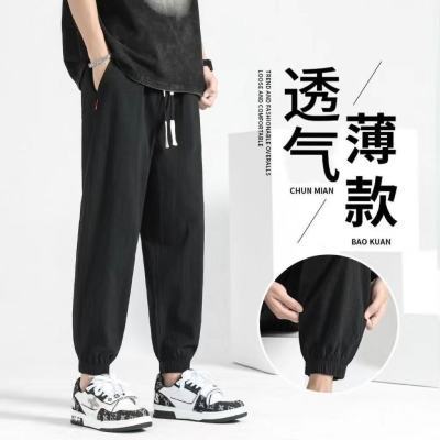 ڲ2025пļп˶ſʿп19.3Ԫ