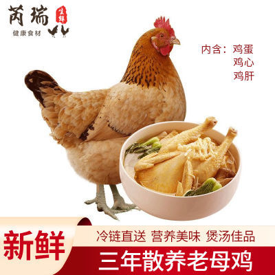 ڲũɢĸɱߵؼӪζ231.49Ԫ
