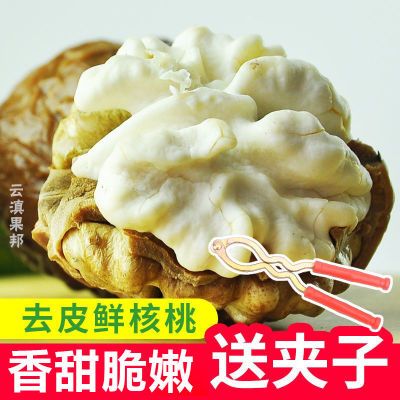 2026云南新鲜核桃湿核桃去青皮生核桃薄皮嫩新黑桃新鲜水果批发
