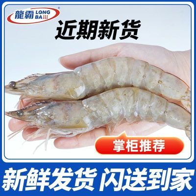 ���ڲ���������ˮ�������ൺ��Ϻֻֻ�������ʴ���䶳������Ϻ��Ϻ��в��� 87.29Ԫ