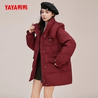 ڲѼѼʱгӺñ޷Ů2025궬¿ٴ籣ů 385Ԫ