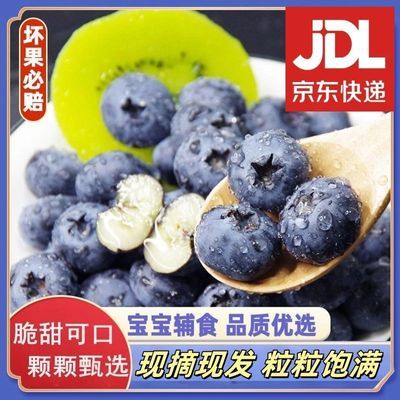 【顺丰/JD包邮】新鲜高山蓝莓鲜果现摘当季孕妇宝宝应季水果送