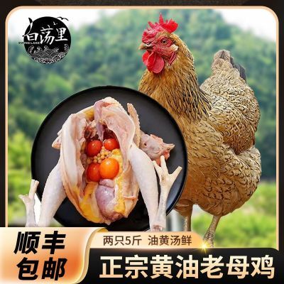 ڲ׵˳3ֻڻĸʺļ1ֻ39.8Ԫ