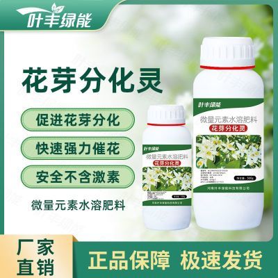 叶丰绿能花芽分化灵荔枝果树促进花芽分化促花稳果催花通用水溶肥