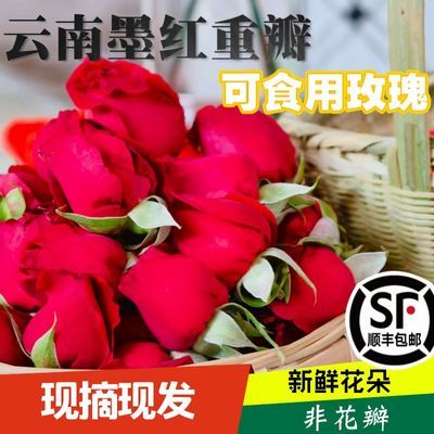 【顺丰包邮】云南现摘可食用玫瑰花新鲜墨红玫瑰花苞可做酱醋酵素