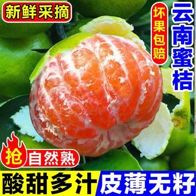 酸甜蜜桔云南蜜橘新鲜薄皮橘子孕妇青皮桔子无籽水果当季批发现摘