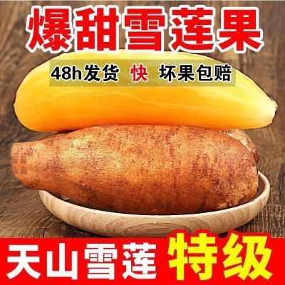 云南雪莲果新鲜水果当季时令现挖脆甜整箱脆甜多汁多规格现货包邮