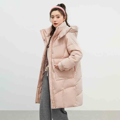 ڲYPUTŮʿ¿޷ñʱпɱůӺYS 236Ԫ