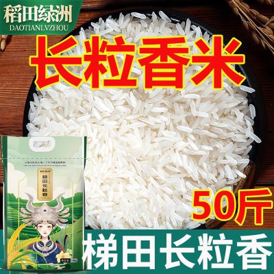 ڲ50ﳤ˿зè97.9Ԫ