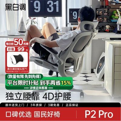 ڲڰ׵P2Pro幤ѧӵμʾ칫ѧϰε羺548.9Ԫ