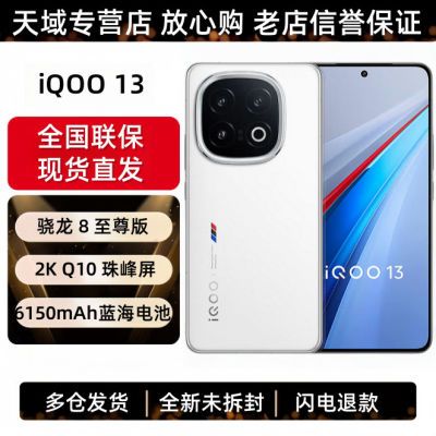 ڲȫֻٷ iQOO13 8 е羺оƬQ2 2K 3999Ԫ