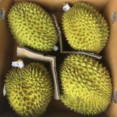 正宗泰国进口榴莲新鲜带壳应季水果现货批发一整箱AA级现货