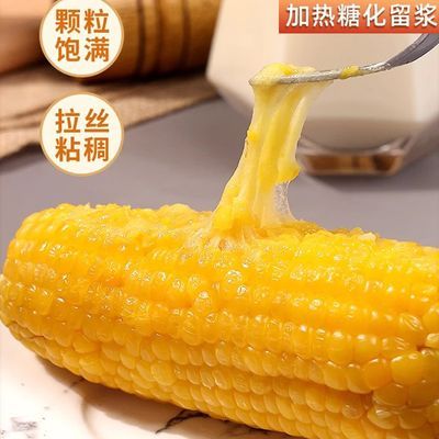 福优优甜糯黄玉米真空锁鲜包装黑糯玉米棒苞米糯玉米早餐代餐