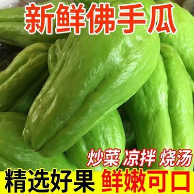 云南现摘新鲜佛手瓜当季批发窝瓜洋瓜丰收农家蔬菜丝瓜自种寿瓜