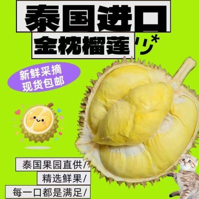 【一件也是批发价】泰国金枕进口榴莲当季新鲜带壳鲜果批发包邮