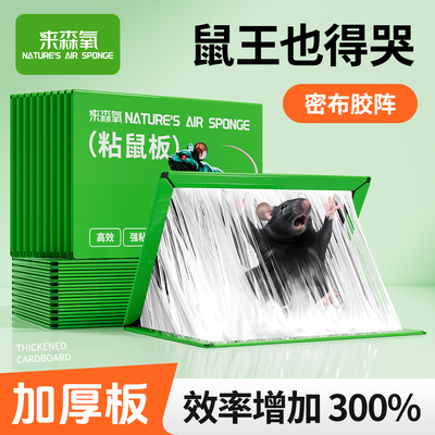 特厚粘鼠板抓老鼠诱鼠粮食灭老鼠贴强力胶强力捕鼠神器克星一窝端