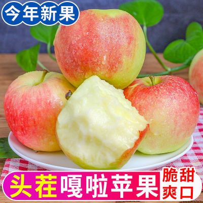 ڲƻˮǳСƽʺ츻ʿ20.9Ԫ