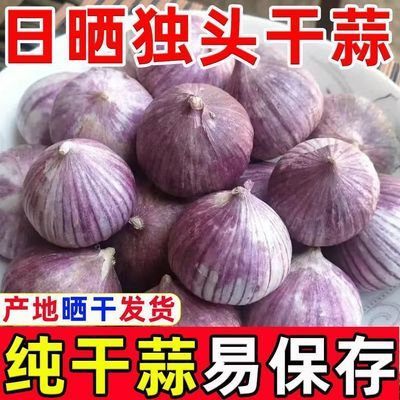 新鲜干蒜】紫皮独头蒜新蒜正宗独头蒜农家蔬菜干蒜头红皮蒜独头蒜
