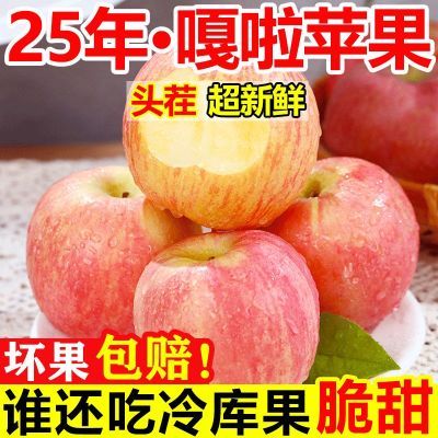 【专享】2025年嘎啦苹果农家小苹果当季嘎啦果整箱青冰糖心