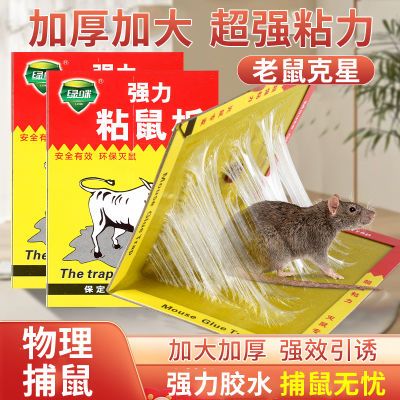 超厚强力粘鼠板可折叠抓大老鼠家用灭鼠器老鼠贴强力粘鼠标一窝端