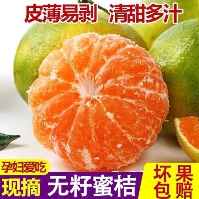 【精品果好橘子】云南蜜桔薄皮青皮橘子孕妇无籽新鲜橘子批发价