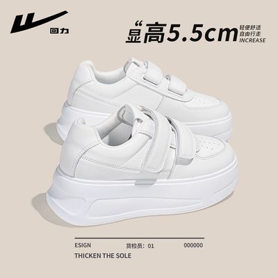 ڲСЬŮ2025¿ļ͸ħаٴЬ79.1Ԫ