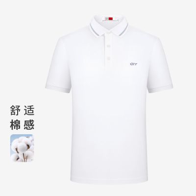 ڲˬ͸GYTʿļ¿ٴPOLO149Ԫ