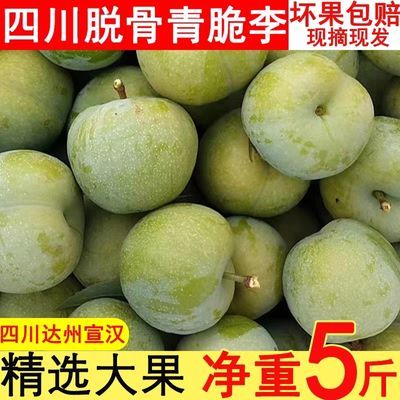 正宗四川达州庙安青脆李凤凰李铭甜顺丰韵达产地现摘现发。