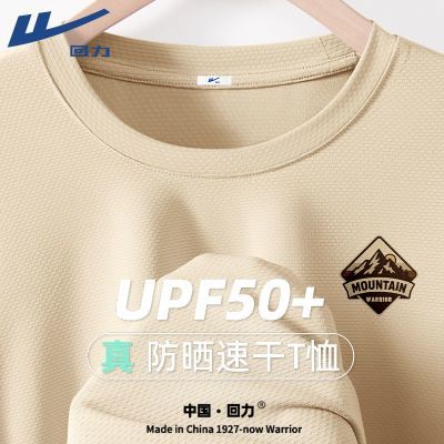 ڲ˿ʿtļٸ۶˶ź͸䳱29.9Ԫ