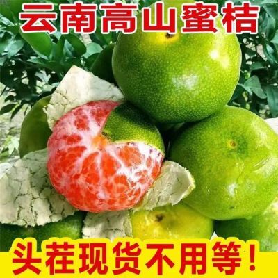 云南青皮蜜桔薄皮青皮橘子孕妇无籽新鲜水果无核桔子批发价包邮