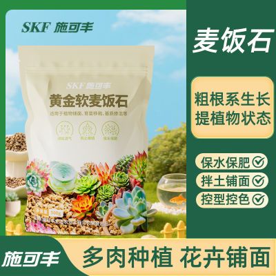 ڲʩɷƽʯʯӪרֲϴʯ 8.89Ԫ